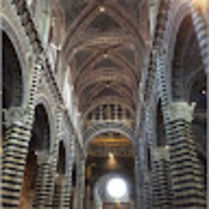 Meet your Posher, Andreal